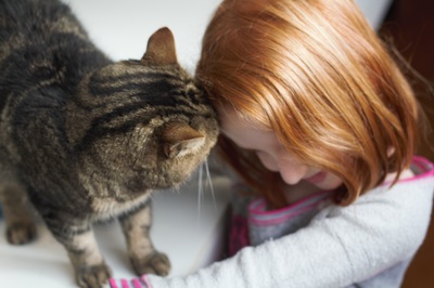 volunteer at catman2