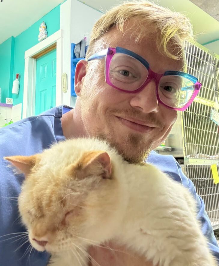 Cat Rescue & Adoption in Sylva,NC