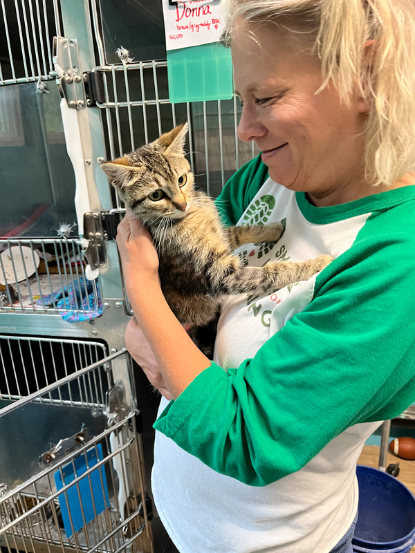 volunteer at catman2