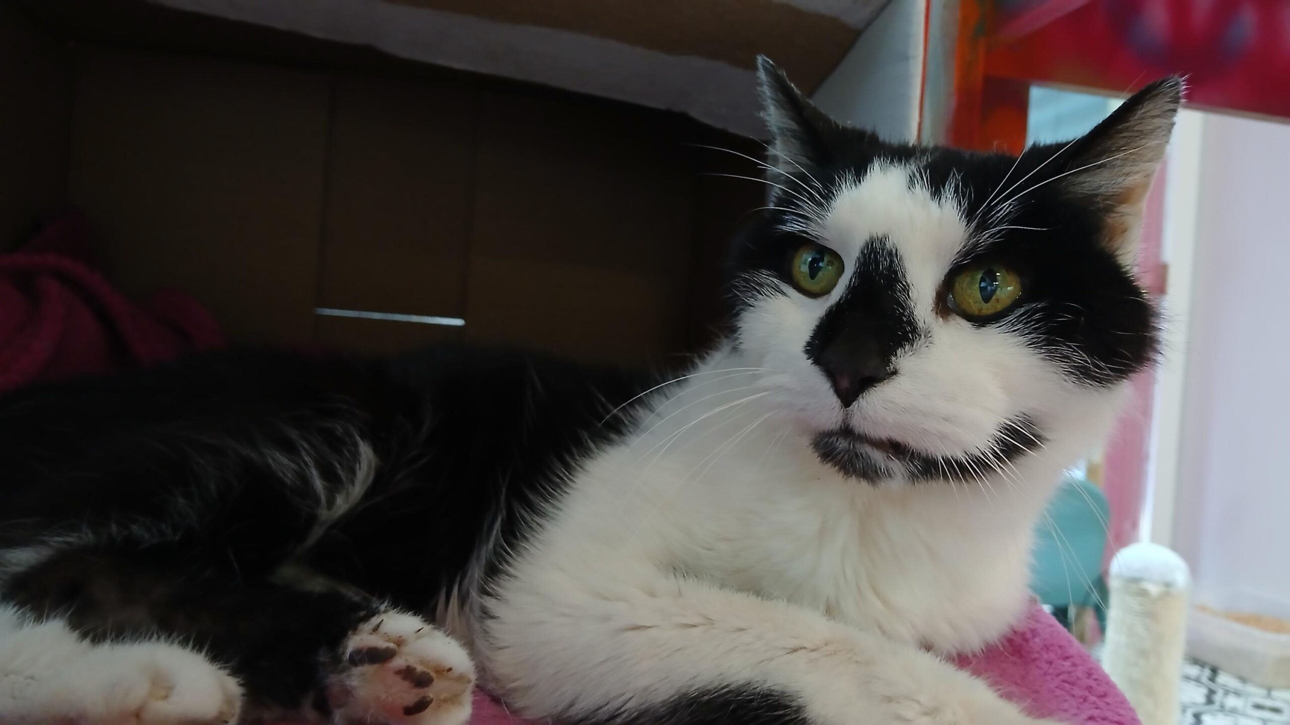 frequently asked questions