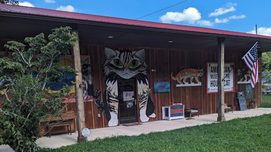 The American Museum of the House Cat