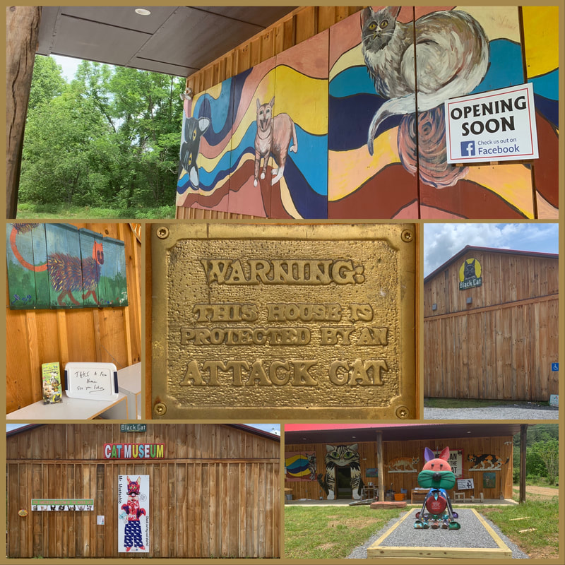 The American Museum of the House Cat