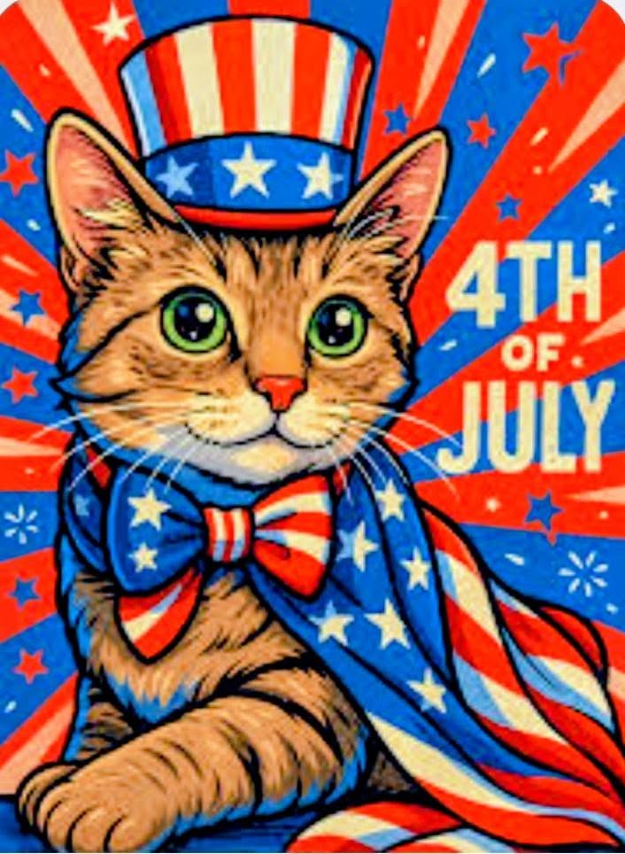 Cat Rescue & Adoption in Sylva,NC