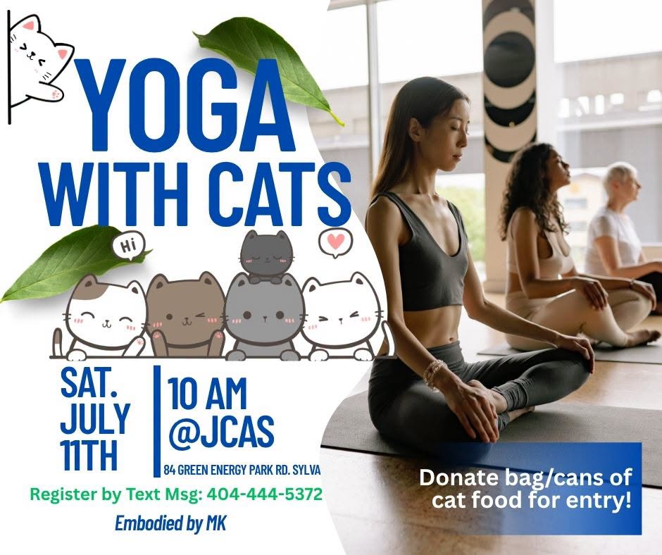 Yoga with cats Events and News