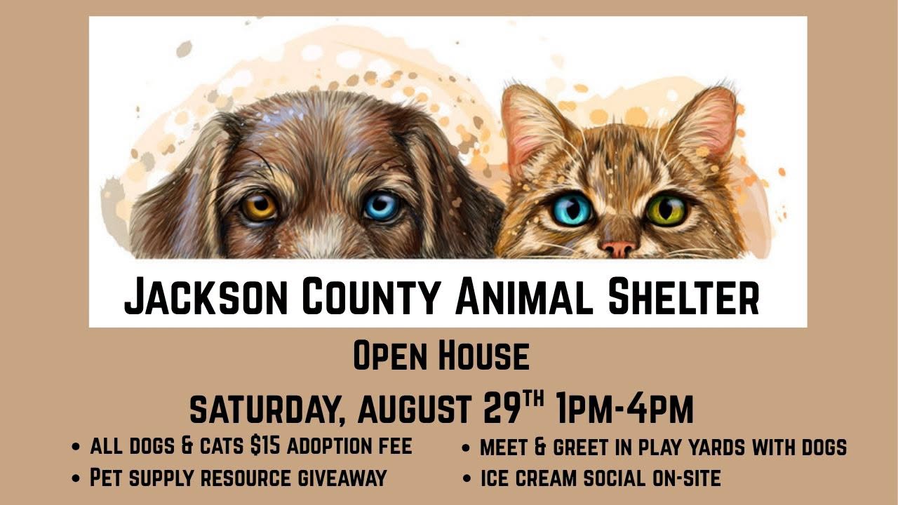 AnimalShelterEvent Cat Rescue & Adoption in Sylva,NC